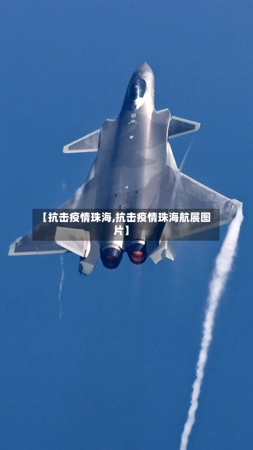【抗击疫情珠海,抗击疫情珠海航展图片】